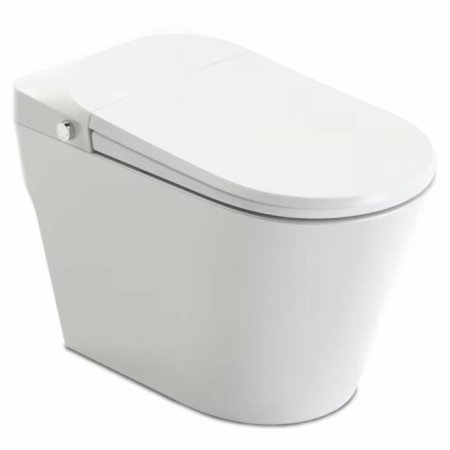  Anzzi toilet