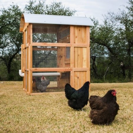  The Best Chicken Coop Option: Roost & Root Round-Top Stand-Up Chicken Coop