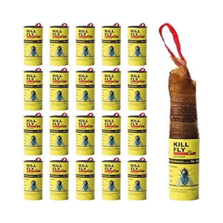 the-best-fruit-fly-trap-options-for-diy-pest-control-bob-vila