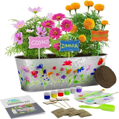 Paint u0026 Plant Flower Growing Kit