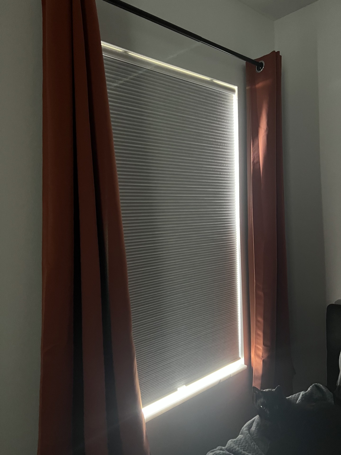 Sbartar Cordless Blackout Honeycomb Cellular Shades installed