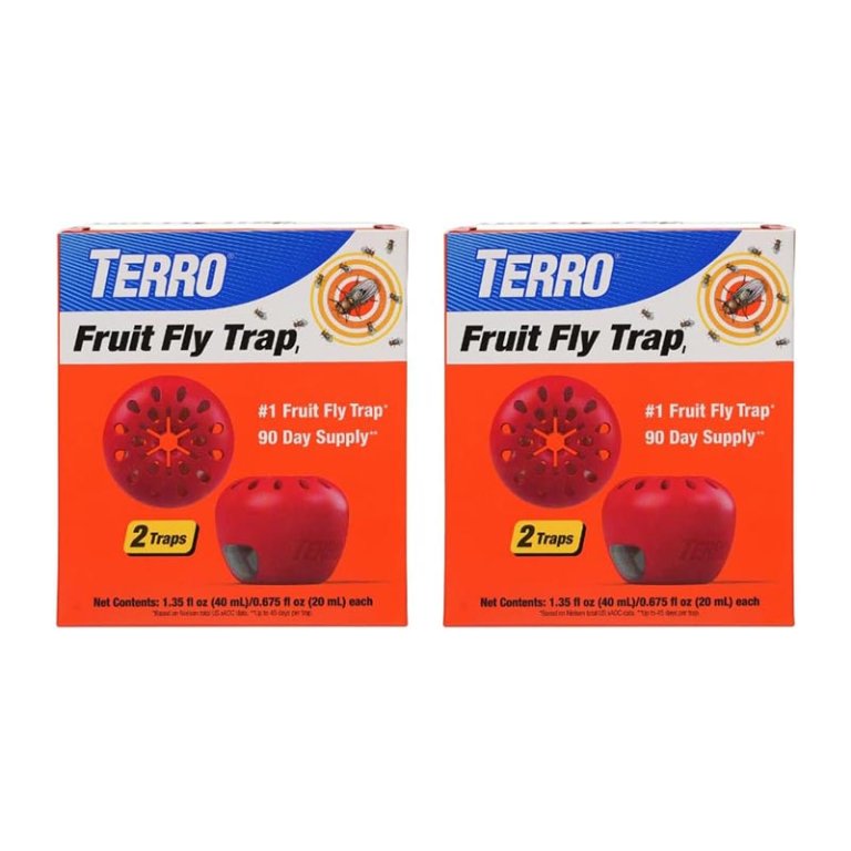 The Best Fruit Fly Trap Option Terro T2502 Fruit Fly Trap