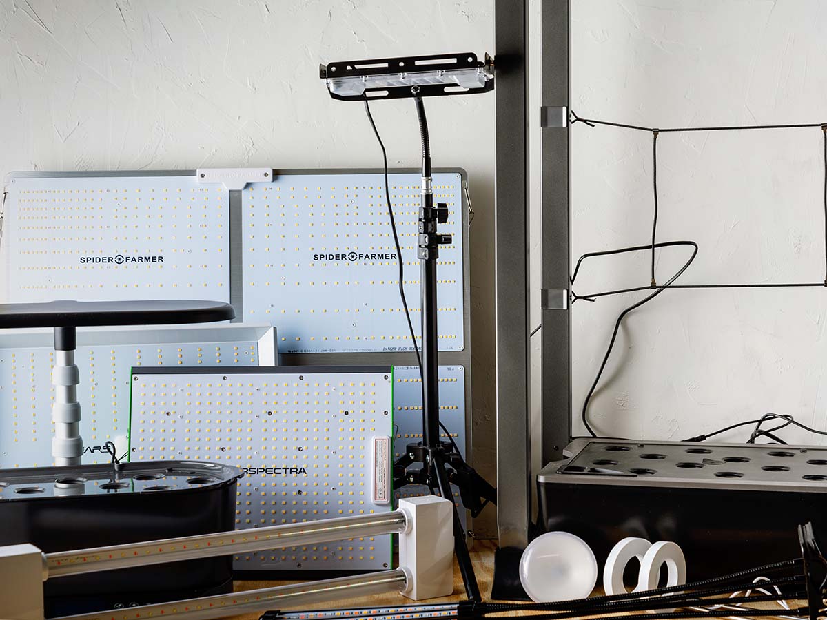 The Best LED Grow Lights for Thriving Indoor Plants, Tested