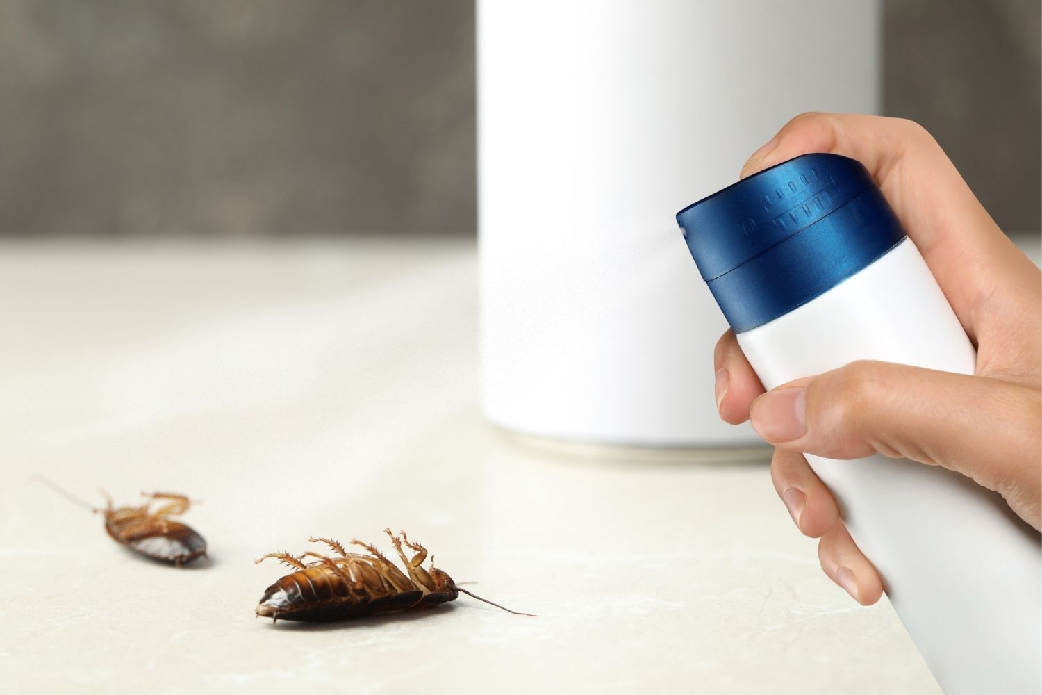 The Best Insecticides You Can Get Today - Bob Vila
