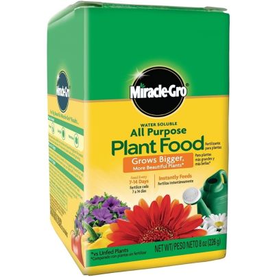 The Best Plant Food Option: Miracle-Gro Water Soluble All-Purpose Plant Food
