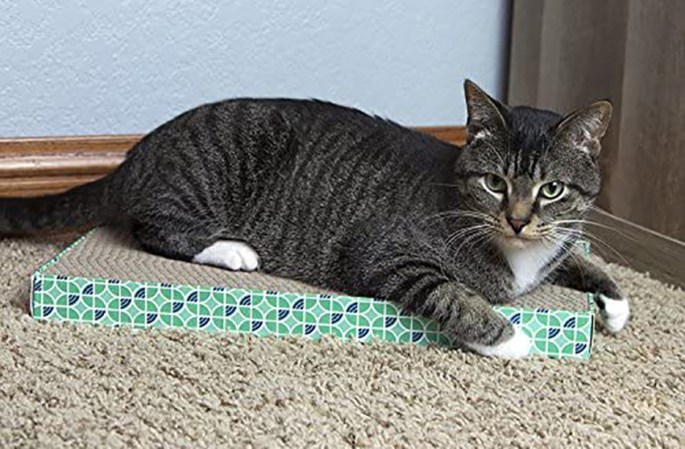 The Best Cat Litter Mat to Protect Your Floors