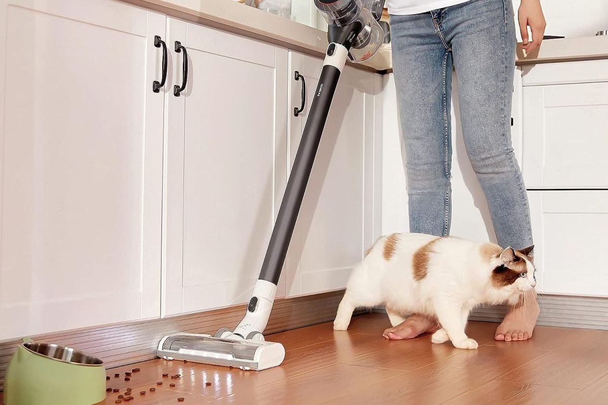 A person using the best cordless vacuum option to clean up spilled dog kibble while a dog walks across the room