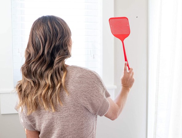 The Best Fly Swatters for DIY Pest Control