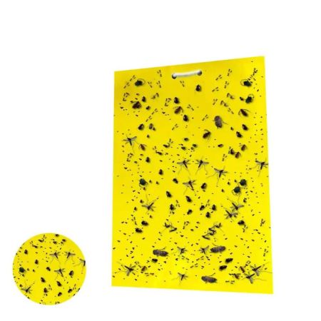 Lightsmax Dual-Sided Yellow Sticky Traps