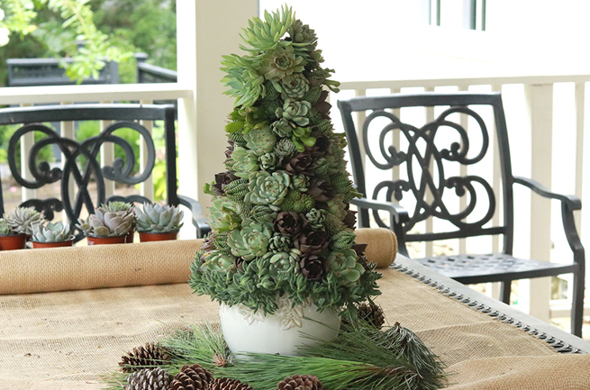 DIY succulent christmas tree