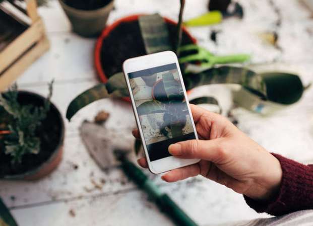 The Best Gardening and Plant Identification Apps for Your Smartphone