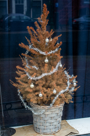 dead mini christmas tree holiday decor