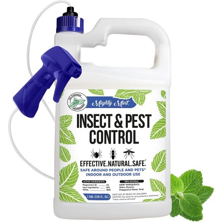 Mighty Mint Insect and Pest Control Peppermint Oil