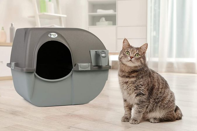 The Best Automatic Litter Box for Effortless Cleaning