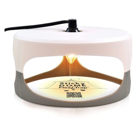 The Best Bed Bug Trap Options: ASPECTEK - Trapest Sticky Dome Flea Bed Bug Trap