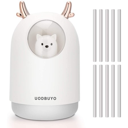 UODBUYO Portable Cool Mist Humidifier, 300ml 