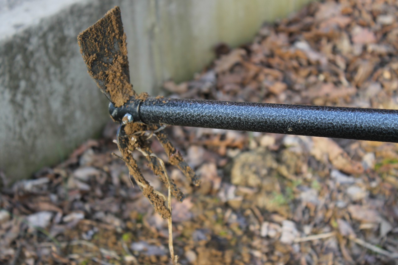 Coconut Garden Hoe Cultivator