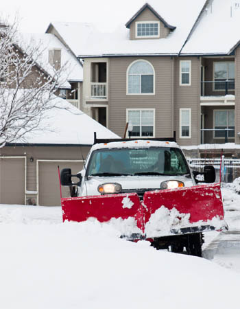 Cost of Services for Snow Removal Near Me
