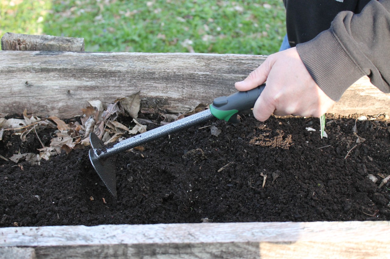 Edward Tools Hand Hoe in Raised Garden Bed