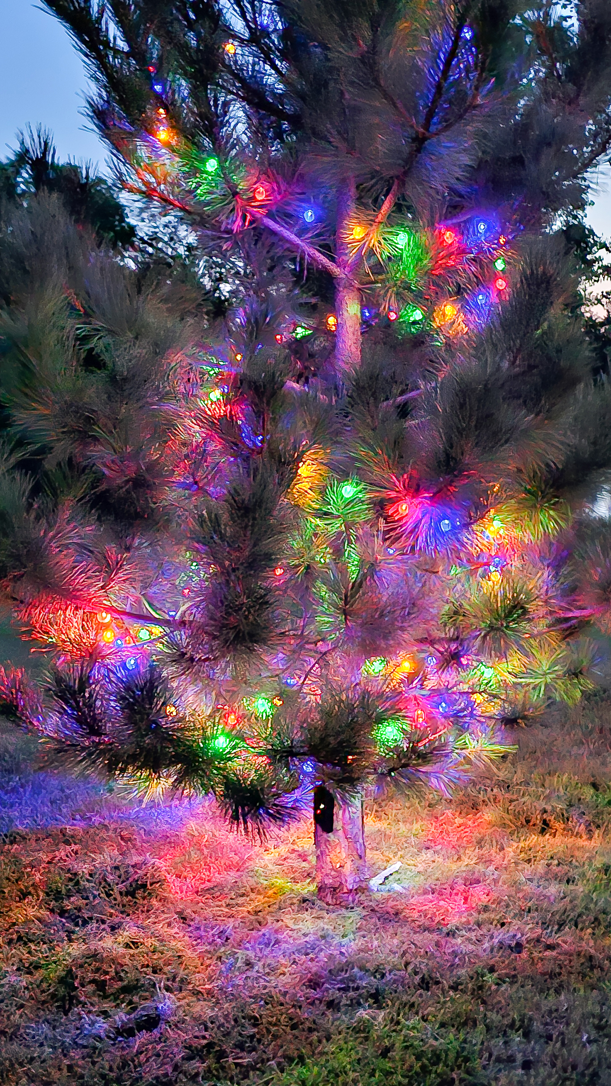 Outdoor Waterproof Solar String Lights 2-Pack