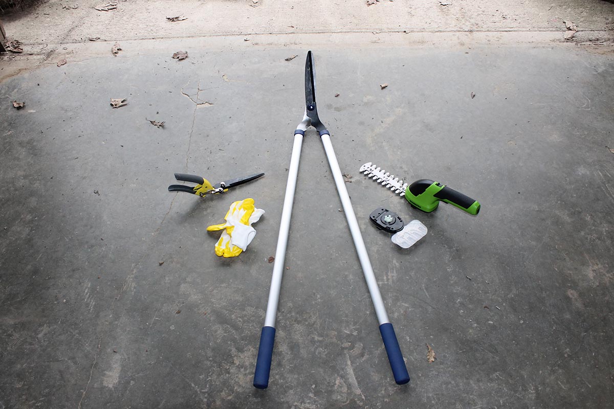 The Best Grass Shears