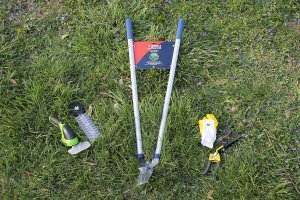 The Best Grass Shears