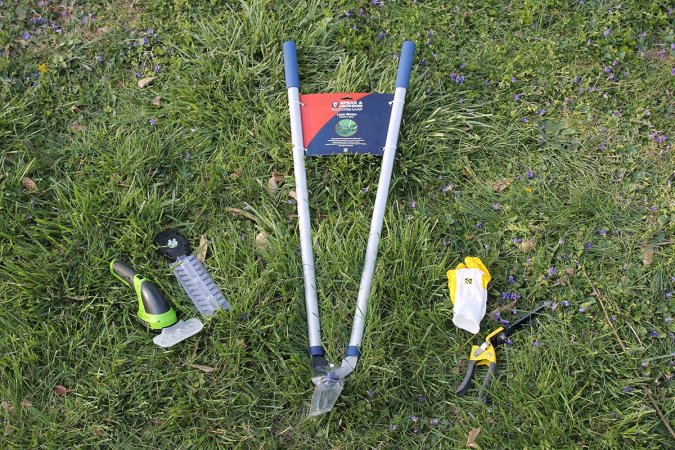 The Best Grass Shears