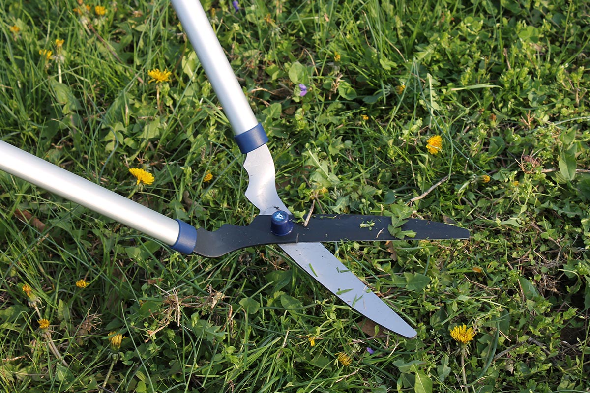 The Best Grass Shears Spear and Jackson Garden Shears Closeup