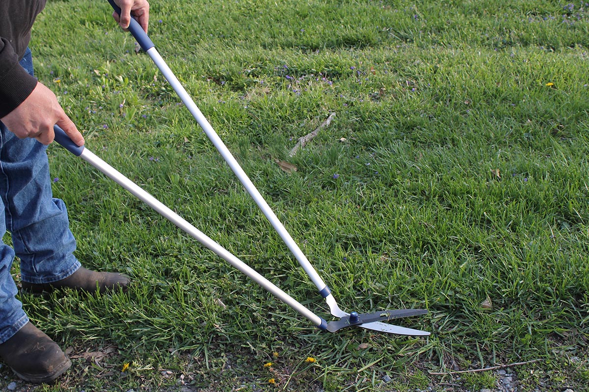 Person using long-handled Spear and Jackson Garden Shears on grass
