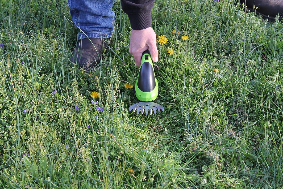 The Best Grass Shears Workpro Cordless Grass Shear
