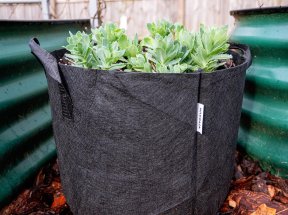 The Best Grow Bags