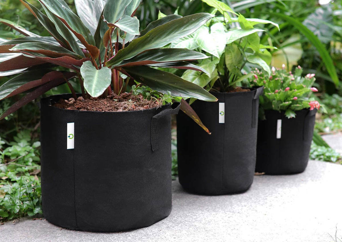 The Best Grow Bags Picks from Bob Vila