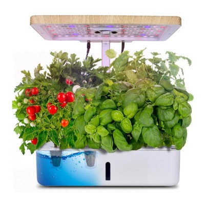 The Moistenland Indoor Garden Starter Kit full of growing herbs and a small cherry tomato plant.