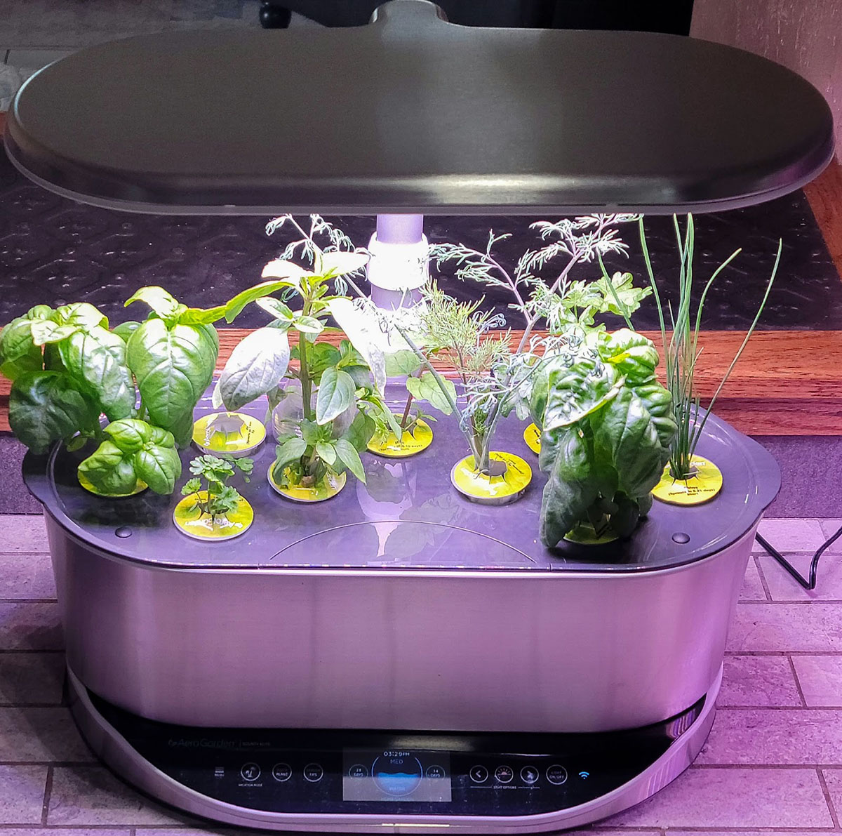 The AeroGarden Bounty Elite Indoor Garden with each of its ports filled with plants in various stages of growth.