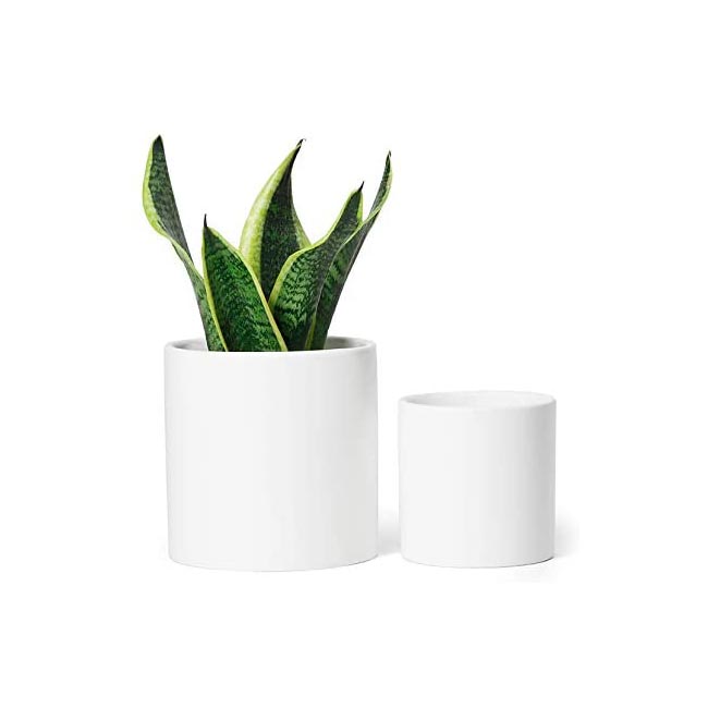 Greenaholics White Ceramic Plant Pots