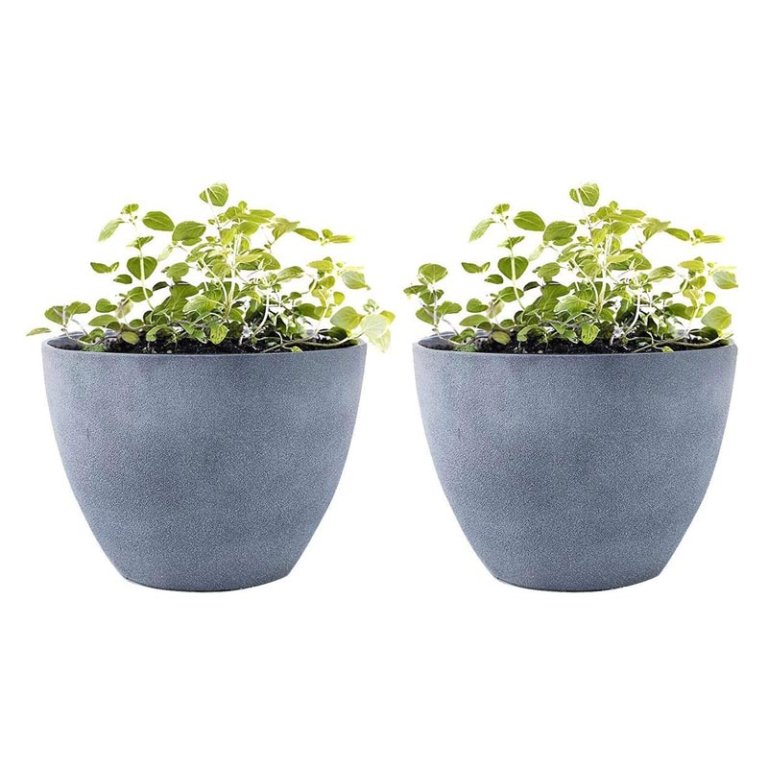  The Best Planter Options: LA JOLIE MUSE Flower Pot Garden Planters