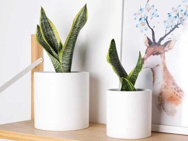The Best Planters