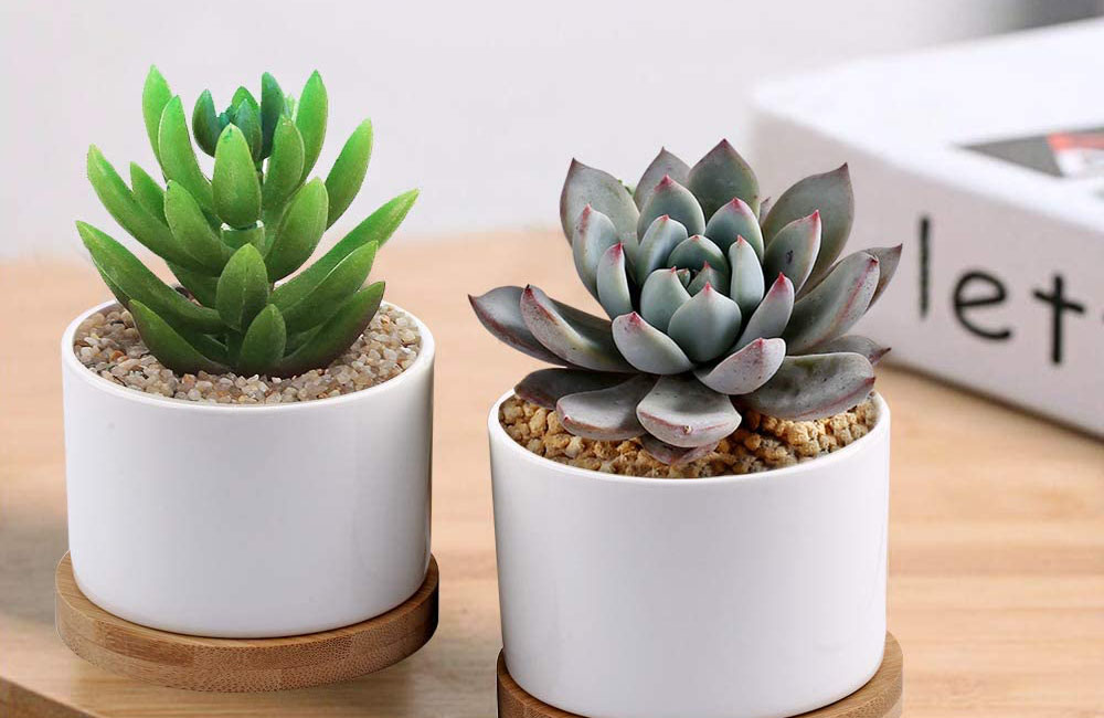 The Best Planters and Pots Options