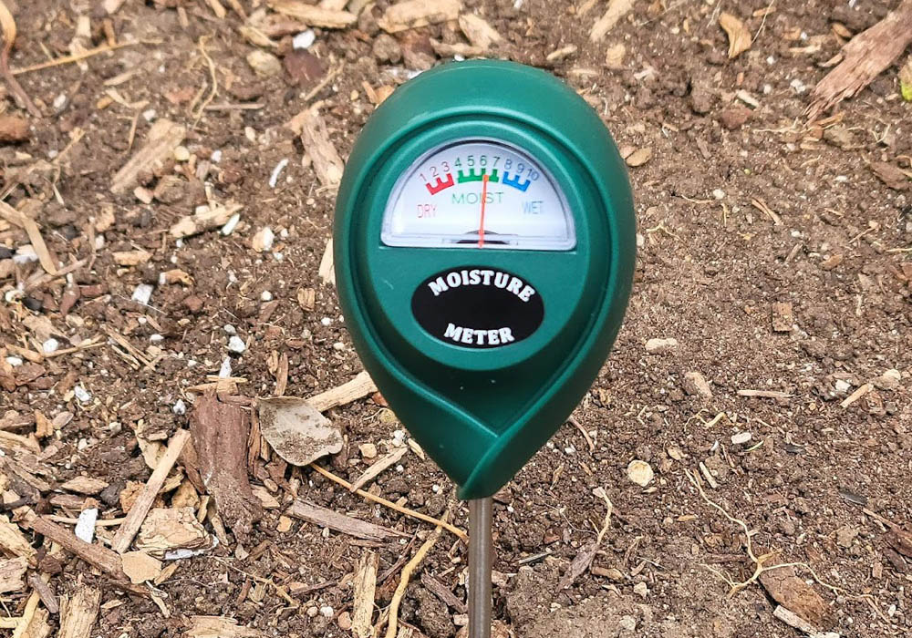 The Best Soil Moisture Meter Options
