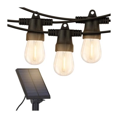 The Best Solar String Lights Option 17 Stories Outdoor Solar String Lights