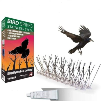 The Best Bird Deterrent Option: Aspectek Stainless Steel Bird Spikes