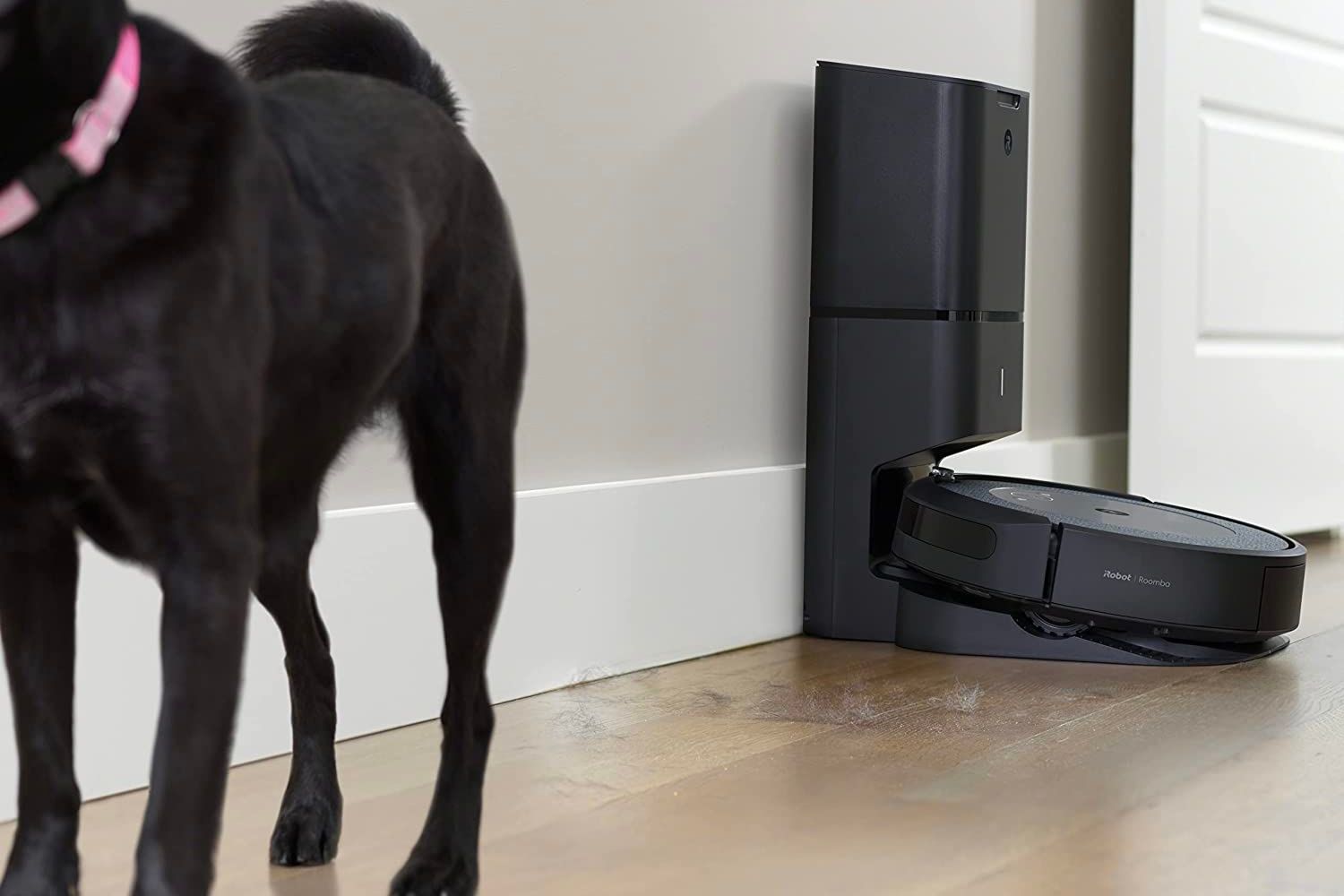 The Best Robot Vacuum for Pet Hair Option