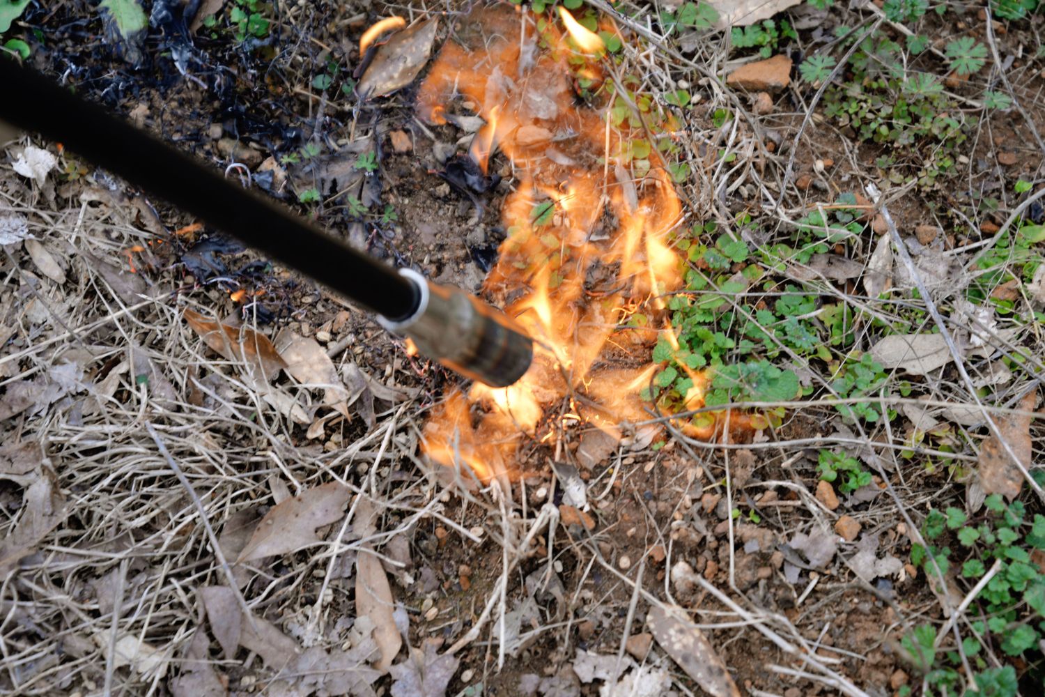 The Best Weed Torches, Tested & Reviewed Top Picks from Bob Vila