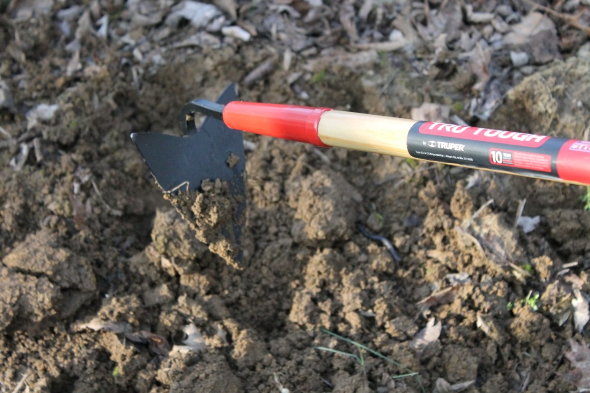 Post image 5