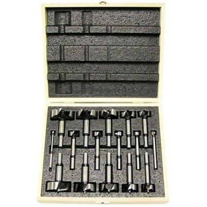 The Best Forstner Bit Set Option: Freud FB-100 16-PC Diablo Forstner Drill Bit Set