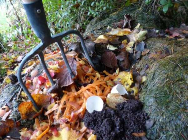 8 Tricks for Quick Composting Your Way to Free Fertilizer