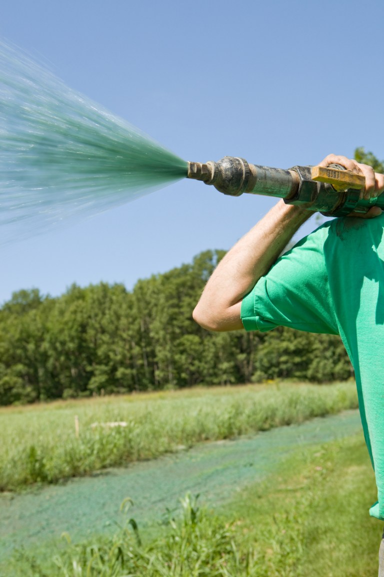 What is Hydroseeding, and Is it Right for My Yard? - Bob Vila