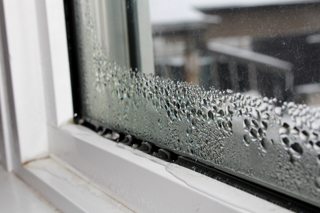 condensation on windows inside house