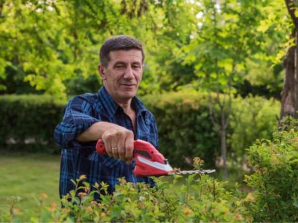 The War on Leaf Blowers: Why Some Communities Are Up in Arms Over the Loud Lawn Tools