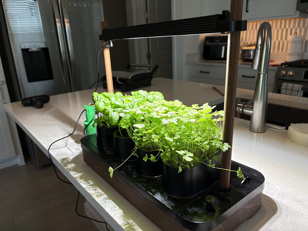 The Best Grow Lights of 2025, Tested and Plant-Approved